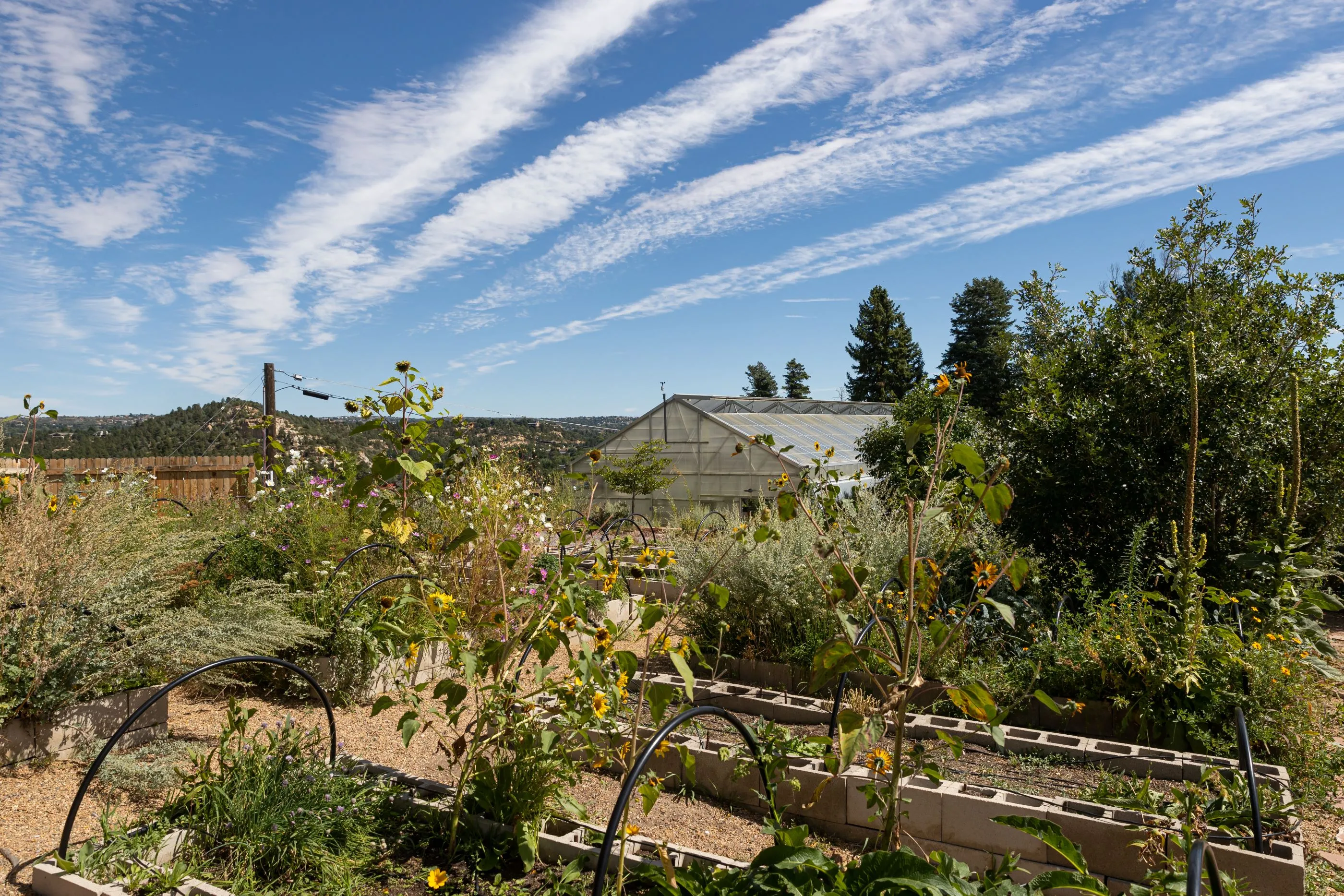 UCCS Farm